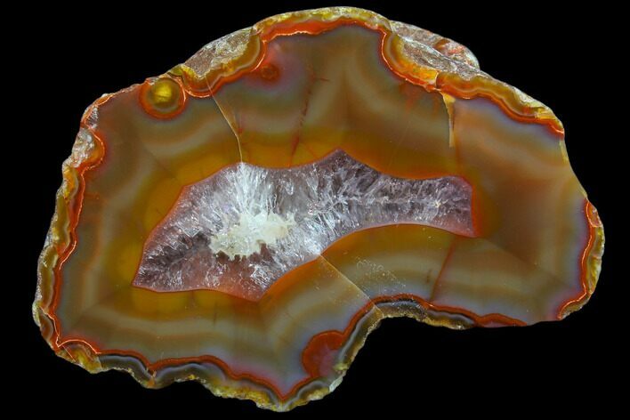 Beautiful Condor Agate From Argentina - Cut/Polished Face #79498